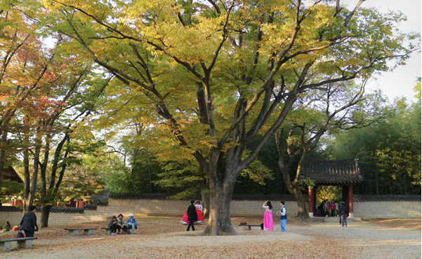 경기전 사진