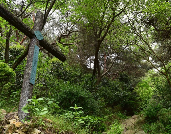 치명자산성지 사진