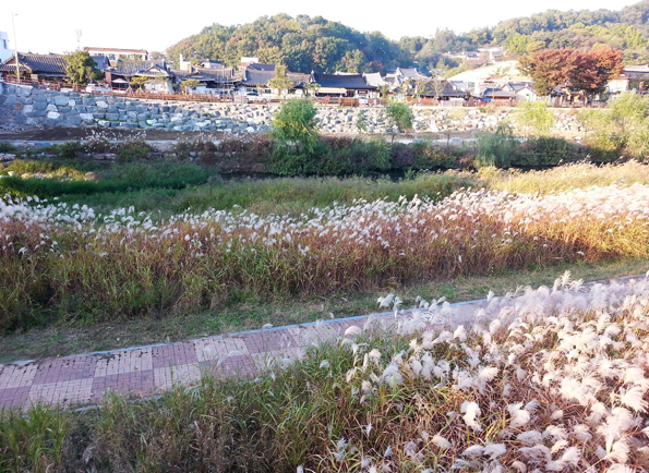 전주천 사진