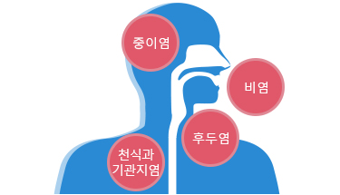 호흡기질환(비염, 중이염, 후두염, 천식과 기관지염) 이미지