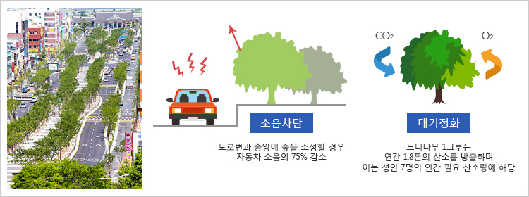 도시숲 이미지 / 소음차단 - 도로변과 중앙에 숲을 조성할 경우 자동차 소음의 75% 감소 / 대기정화 - 느티나무 1그루는 연간 1.8톤의 산소를 방출하며 이는 성인 7명의 연간 필요 산소량에 해당