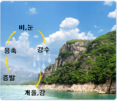 물의자정작용