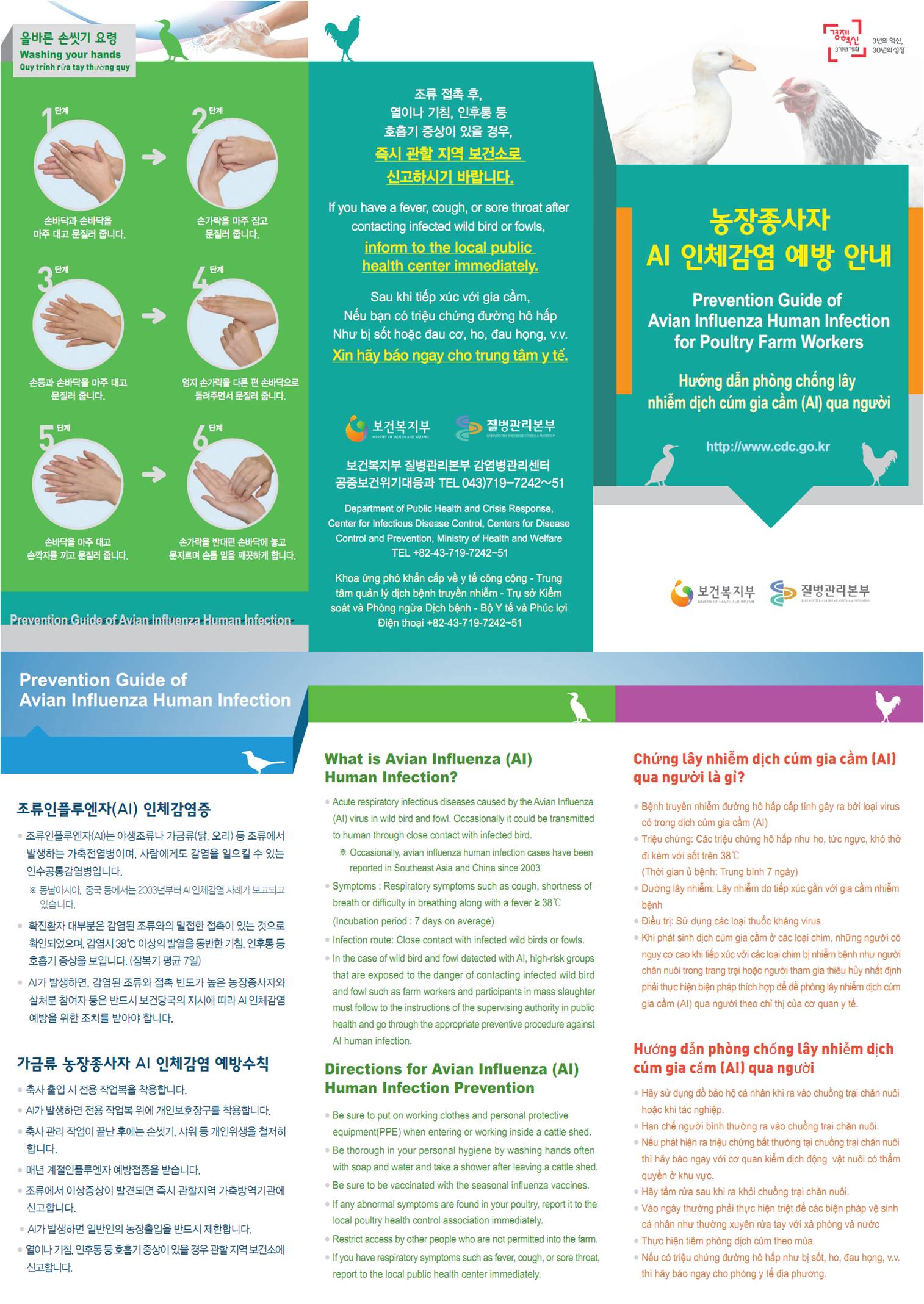 조류인플루엔자 인체감염증 예방수칙 