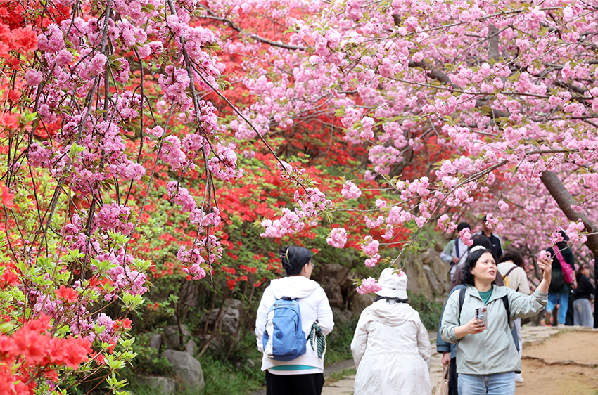 완산칠봉 꽃동산