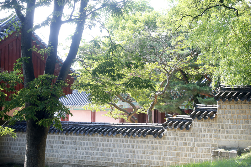 한옥마을여름풍경7월63.jpg