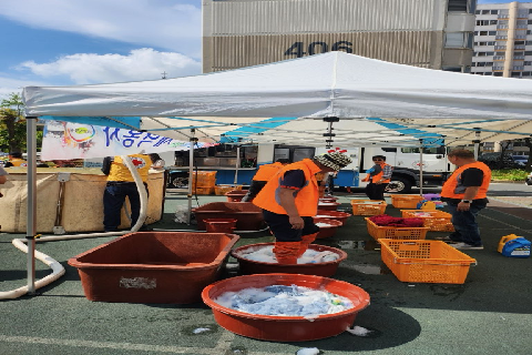 3. 대한적십자사 전북지회 평화동 봉사회, 평화2동 주민들 위한 ‘뽀송뽀송 사랑의 이불빨래' 봉사(1).jpg