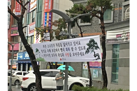 6월21일(생태도시과)도심한복판 시들어 가는 소나무 살리기 작업 박차!.JPG