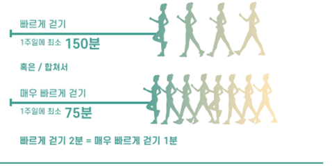 빠르게 걷기 1주일에 최소 150분, 매우 빠르게 걷기 1주일에 최소 75분, 빠르게 걷기 2분은 매우빠르게 걷기 1분