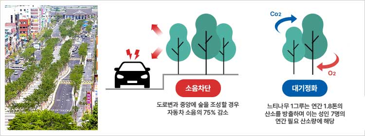 도시숲 이미지 / 소음차단 - 도로변과 중앙에 숲을 조성할 경우 자동차 소음의 75% 감소 / 대기정화 - 느티나무 1그루는 연간 1.8톤의 산소를 방출하며 이는 성인 7명의 연간 필요 산소량에 해당