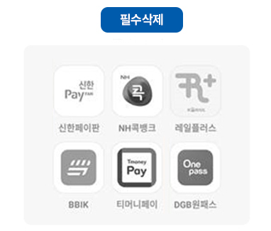 필수삭제:신한페이판, NH콕뱅크, 레일플러스, BBIK, 티머니페이, DGB원패스