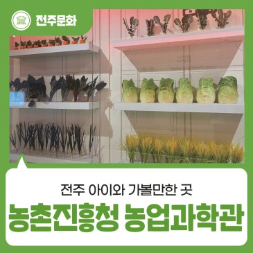 블로그