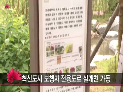 혁신도시보행자전용도로실개천가동
