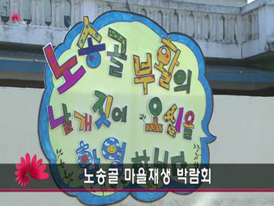 노송골마을재생박람회