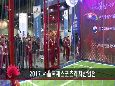 2017 서울국제스포츠레저산업전(드론축구)