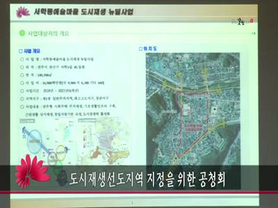도시재생선도지역지정을위한공청회