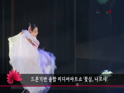드론기반융합미디어아트쇼꽃심나르샤