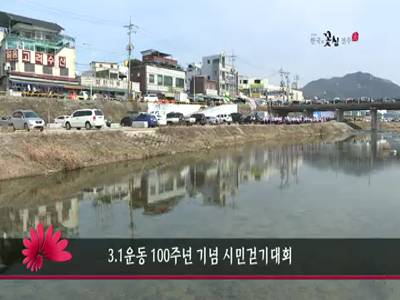 31운동100주년기념시민걷기