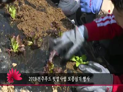 2019전주푸드텃밭사업모종심기행사