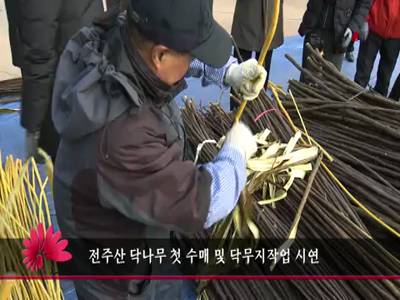 전주산닥나무첫수매및닥무지작업시연