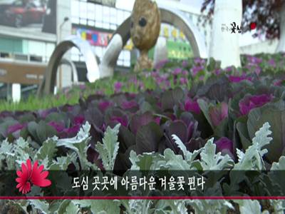 도심곳곳에아름다운겨울꽃핀다
