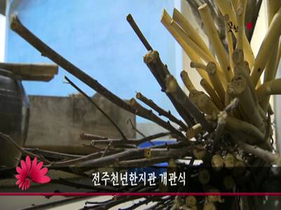 전주천년한지관개관식