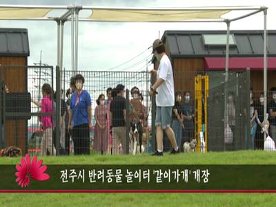 전주시반려동물놀이터같이가개개장
