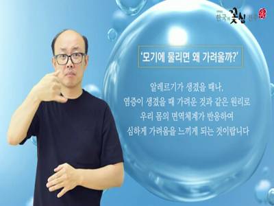 생활수어정보통(2022.08.01.) -모기에 물리면 왜 가려울까?-