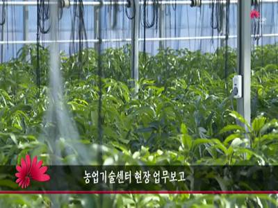 농업기술센터현장업무보고