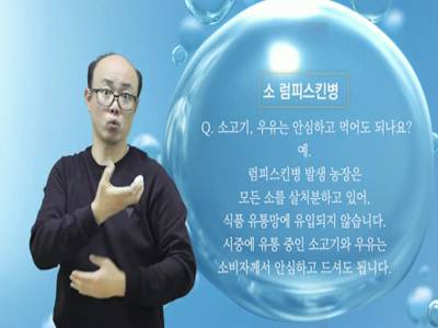 생활수어정보통(2023.11.6.) -소 럼피스킨병-