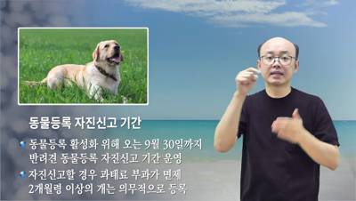 전주 시정소식(2024.8.5~8.11)